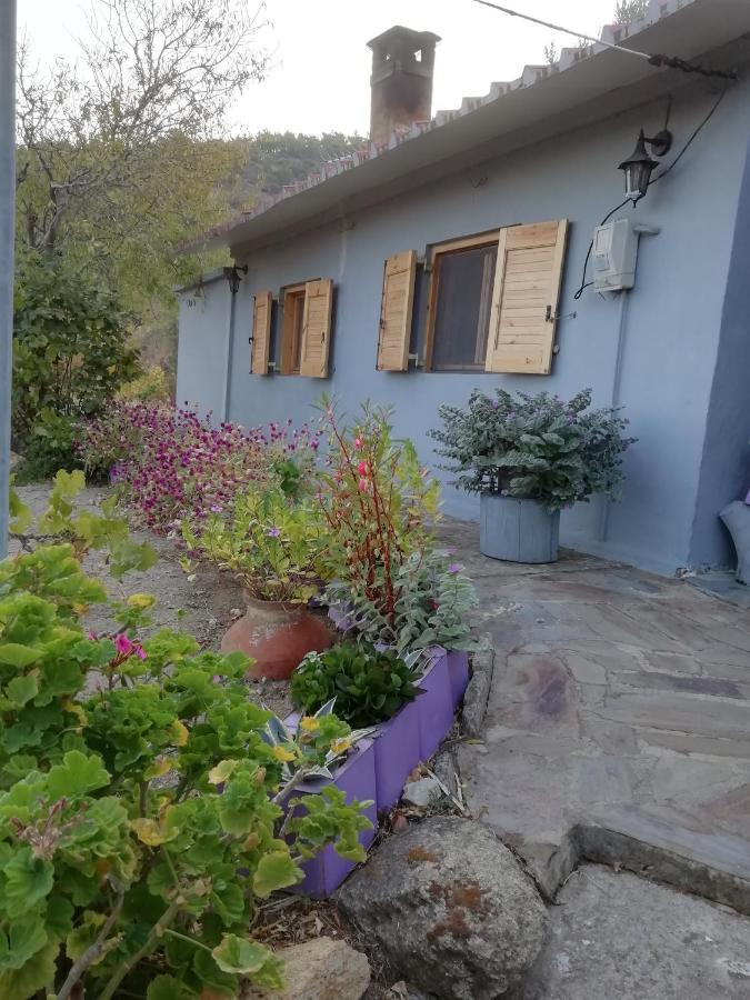 Myrovolos Villa Armenistis  Exterior foto
